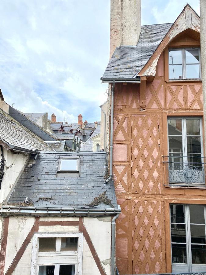 Le Gypsea Duplex - Hypercentre / 5Mn Du Chateau 블루아 외부 사진